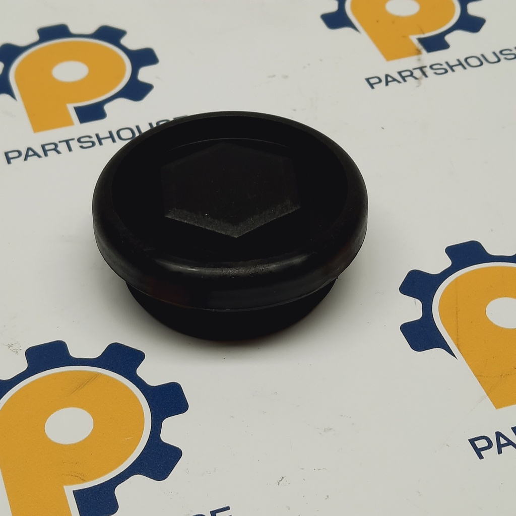 Volvo 21483789 plug (Aftermarket)