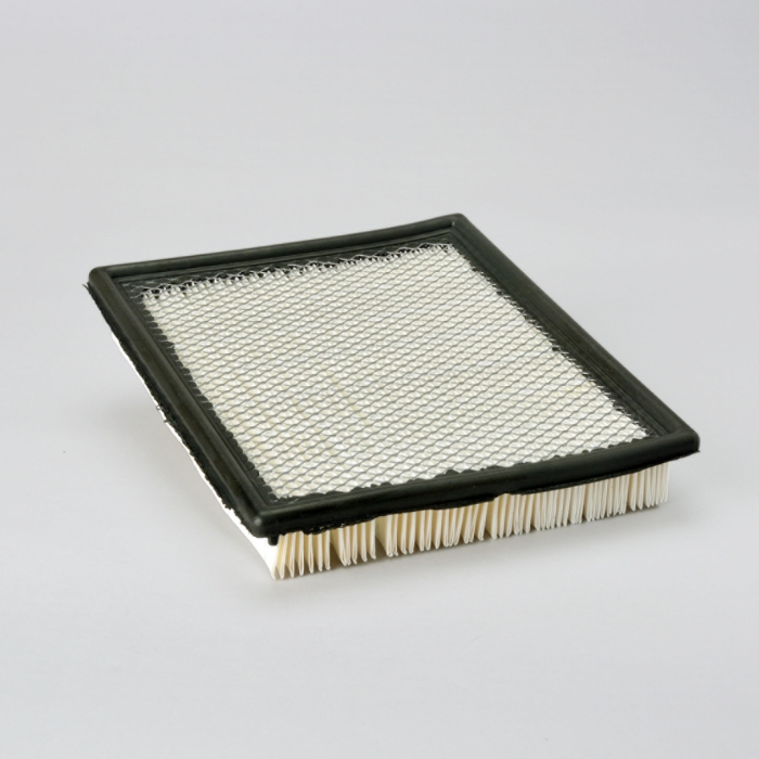 Air filter, cabin P606063 (Donaldson)