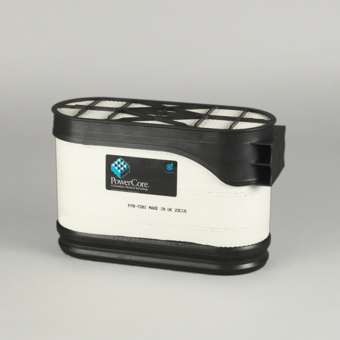 [P787281] Air filter P787281 (Donaldson)