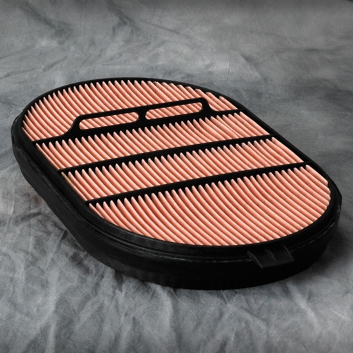 [P607557] Air filter P607557 (Donaldson)